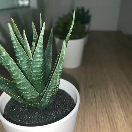 Sb 42 Apartman